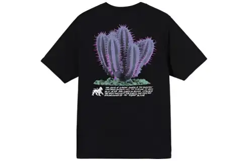 Stussy Desert Bloom Tee