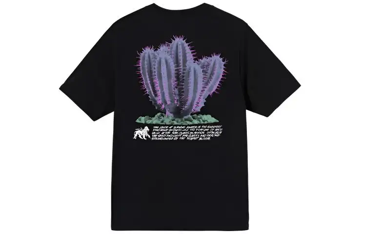 Stussy Desert Bloom Tee
