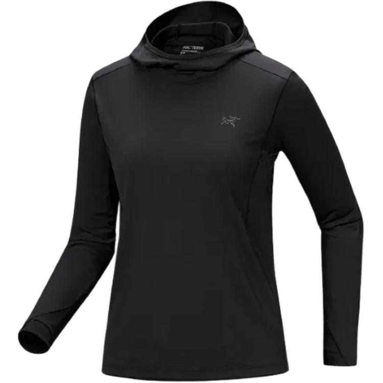 Женская футболка Arcteryx SUNNA HOODY LOGO T (серая)