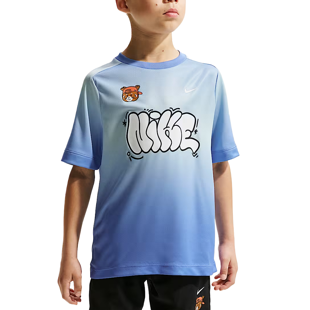 Мужская футболка Nike (синий)