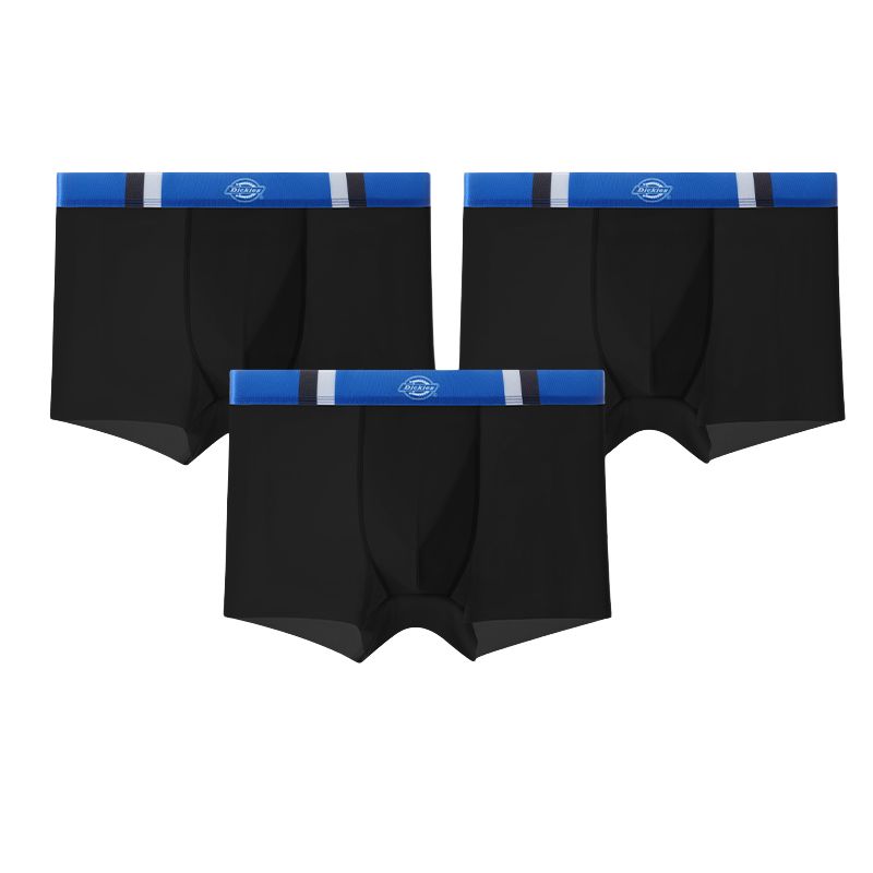Мужские штаны Dickies Dickies 10A (черный)