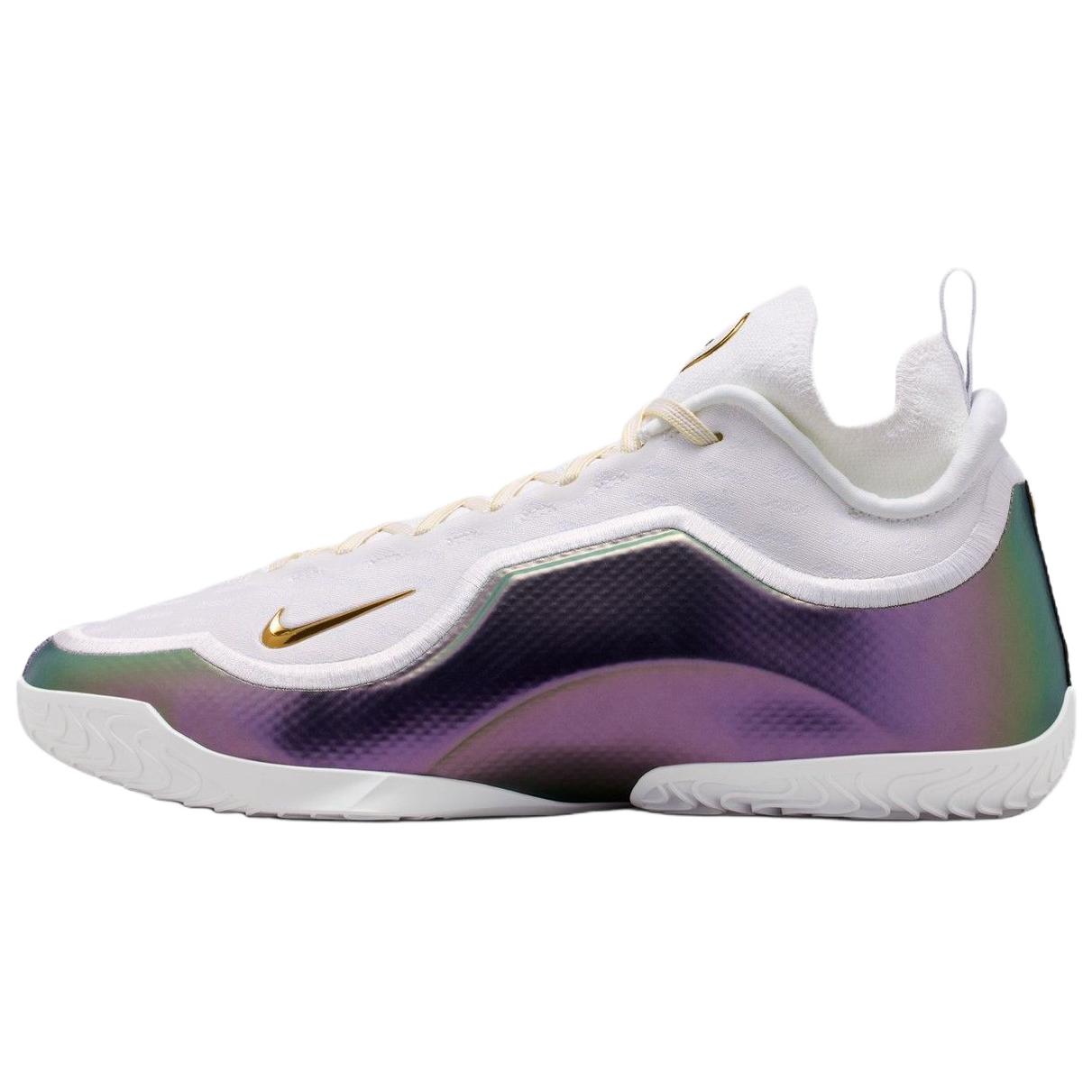 Мужские кроссовки Nike Lebron 23 Elite EP "For The Record" (белые)