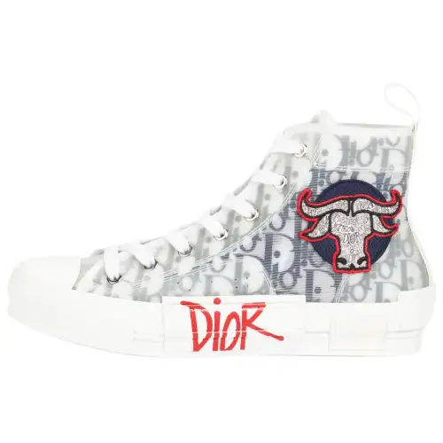 DIOR And Shawn B23 High