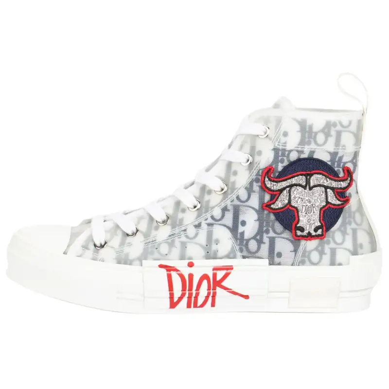 DIOR And Shawn B23 High