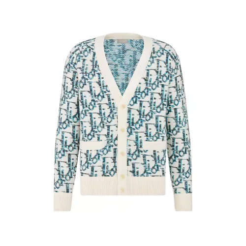 DIOR Sweaters Men's Blue V Neck Moderate Cardigan