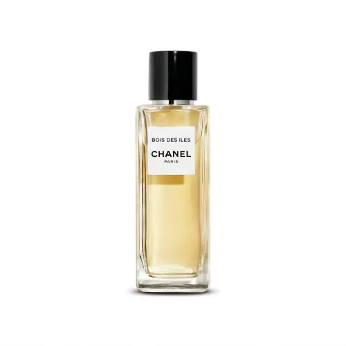 CHANEL Size 22