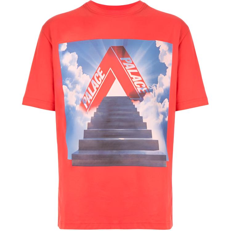 Мужская футболка Palace PALACE T (белая)