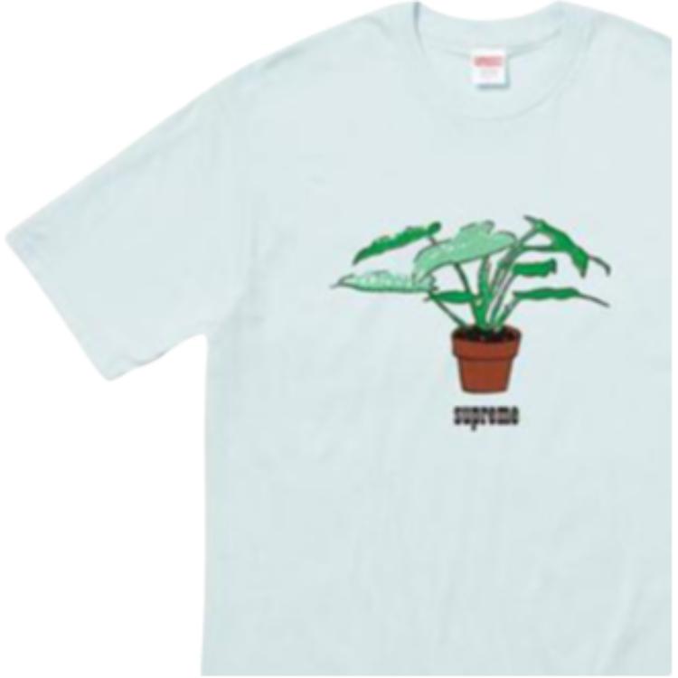 Футболка Supreme FW17 Plant Tee Pale Blue T (голубая) — фото 3