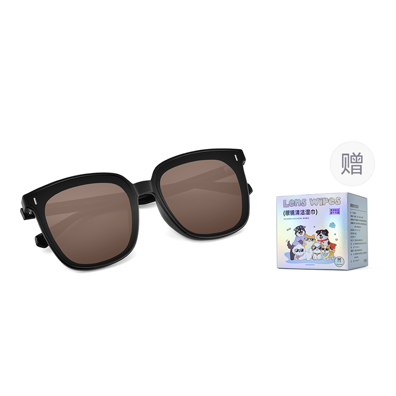 Солнцезащитные очки CALVIN KLEIN Sunglass Комплект (черные)