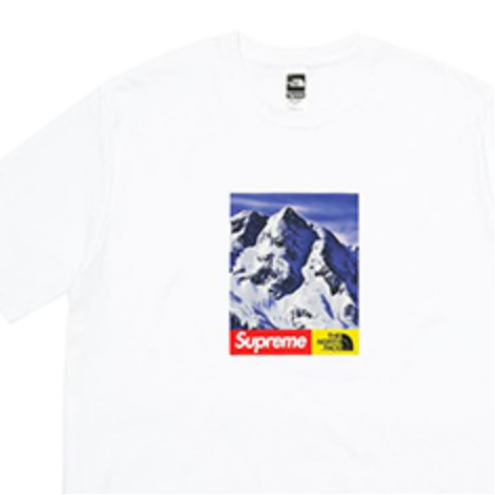 Футболка Supreme FW17 T (белая) — фото 3