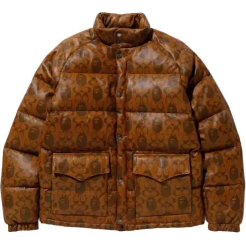 Bape X Coach Leather Down Jacket