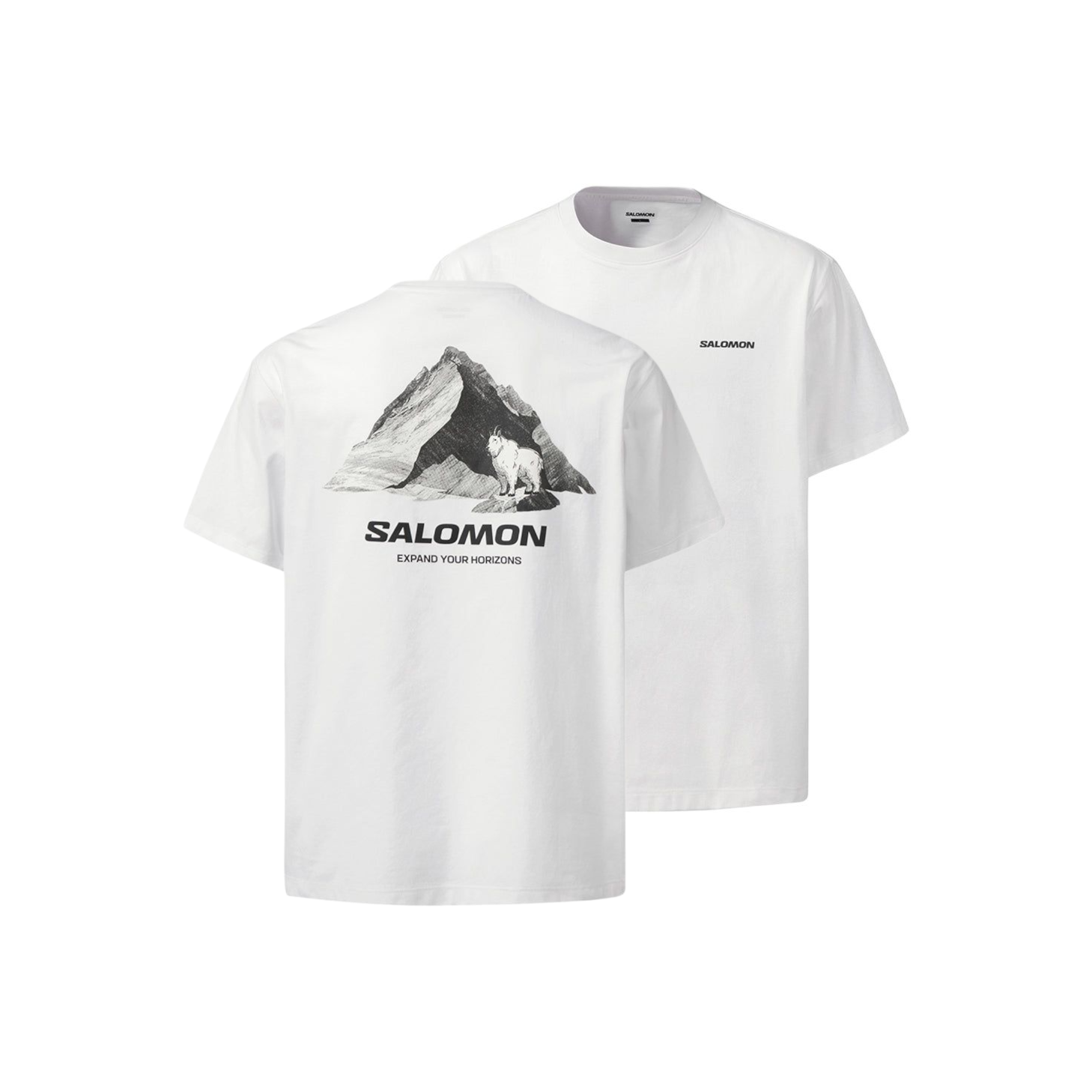 Футболка Salomon Mountain Goat (белая)