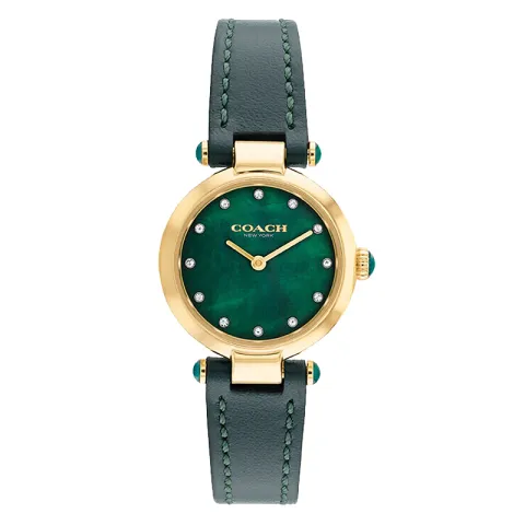 COACH Cary Wrist Watches Quartz Movement Cow Leather Strap Green Dial Women's Watch