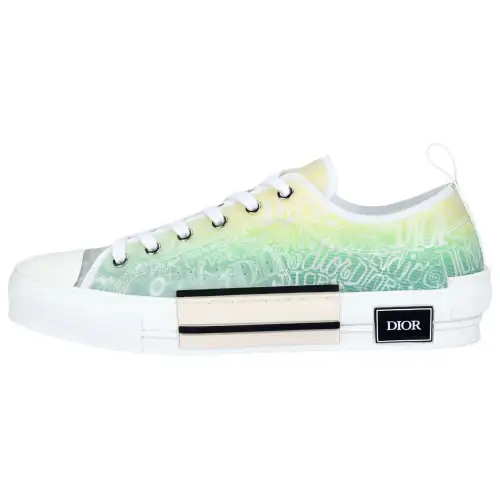 DIOR And Shawn B23 Low Top