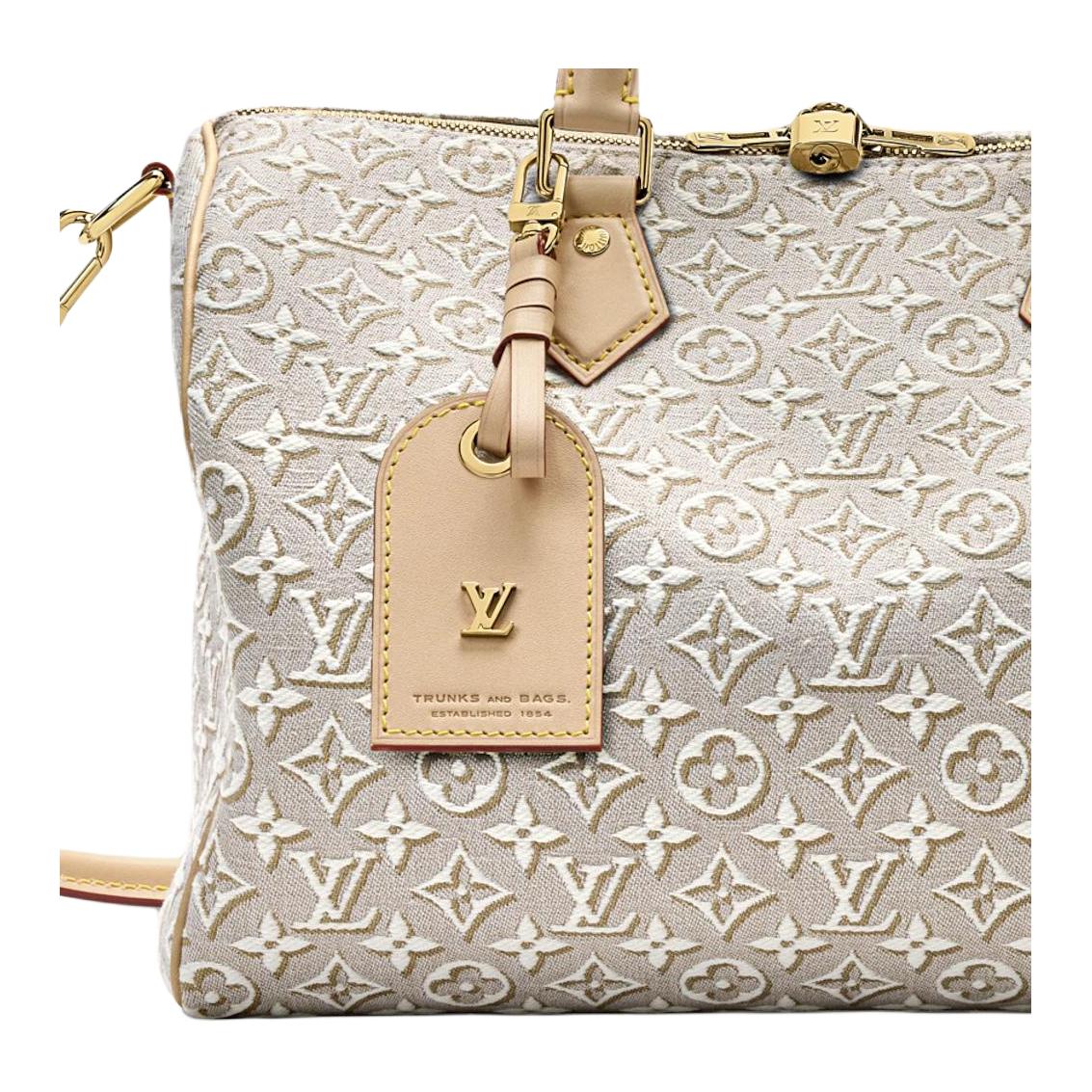 Женская сумка Louis Vuitton (серый) — фото 4