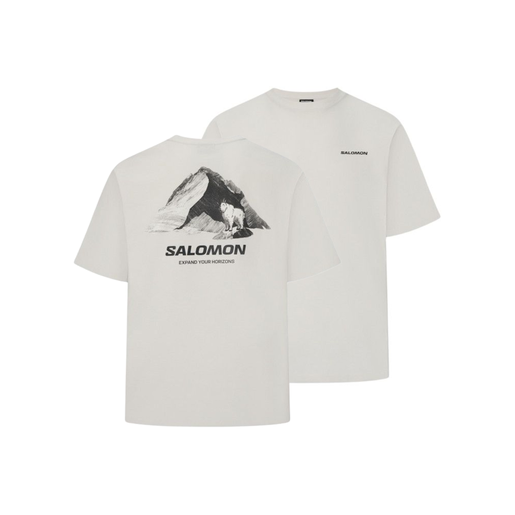 Мужская футболка Salomon Mountain GOAT (серая)