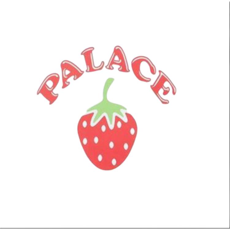 Футболка Palace P22TS036 (белая) — фото 5
