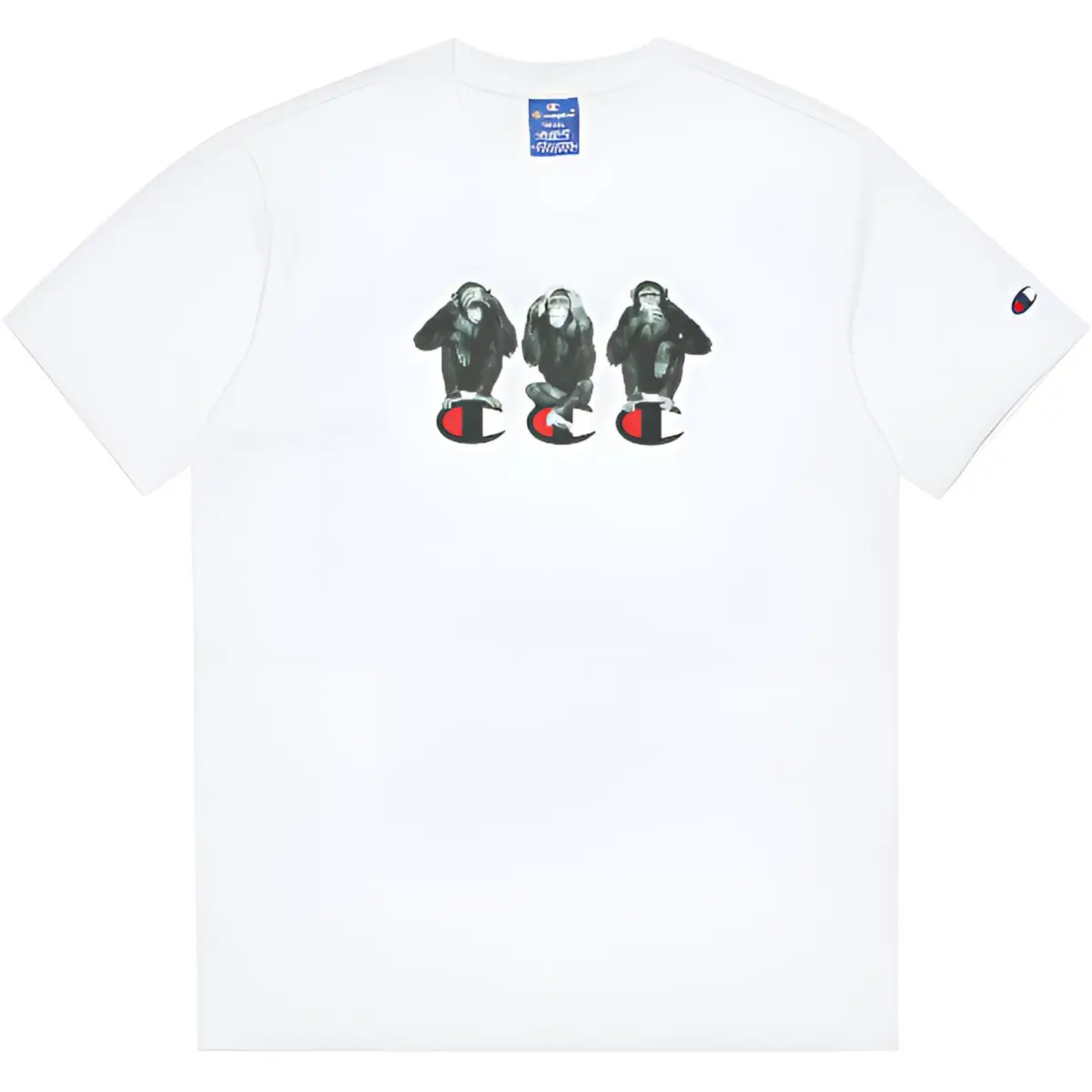 Champion T-Shirts Unisex Crew Neck Moderate