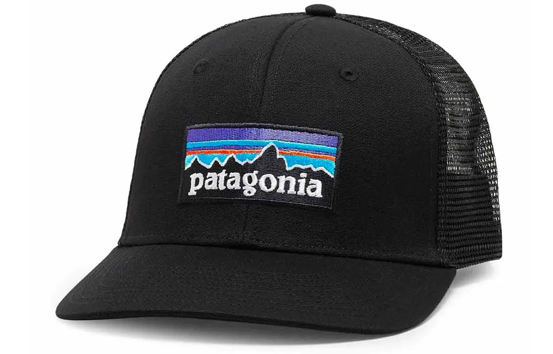 Patagonia logo patch cap