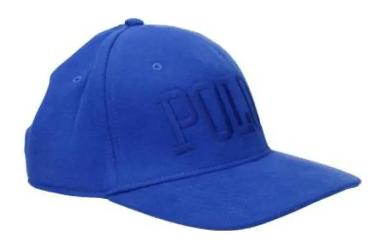 Polo Ralph Lauren Cotton Baseball Caps Men's Blue