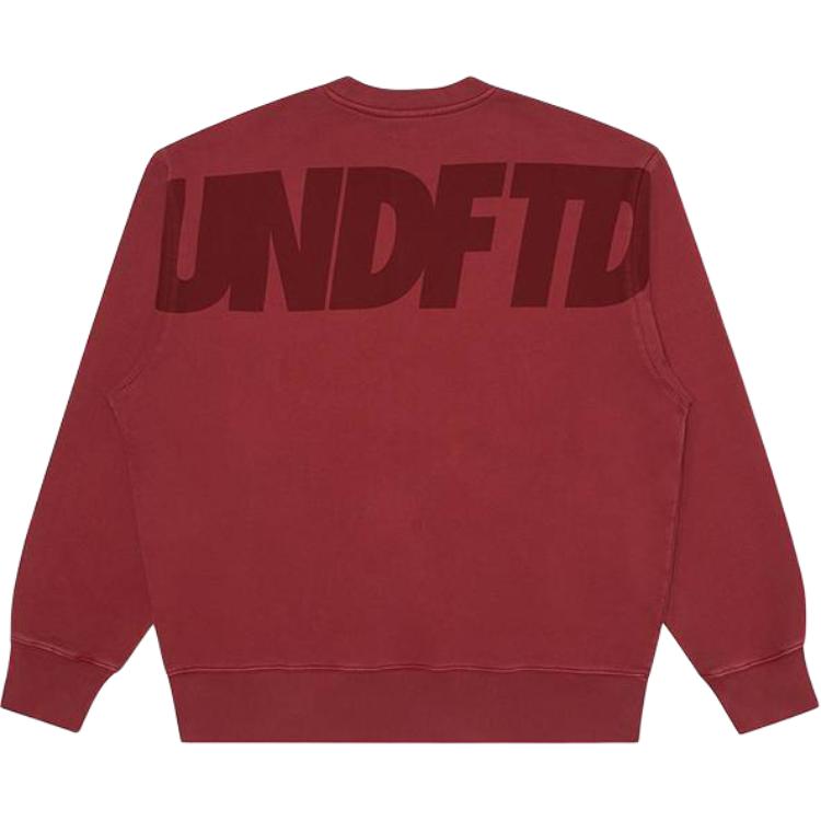 Худи UNDEFEATED SS26 Logo (черный) — фото 7
