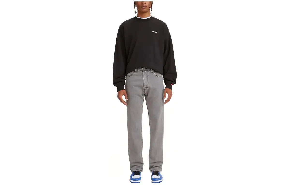 Levi's Jeans Men's Gray Moderate Straight Fit Pants
