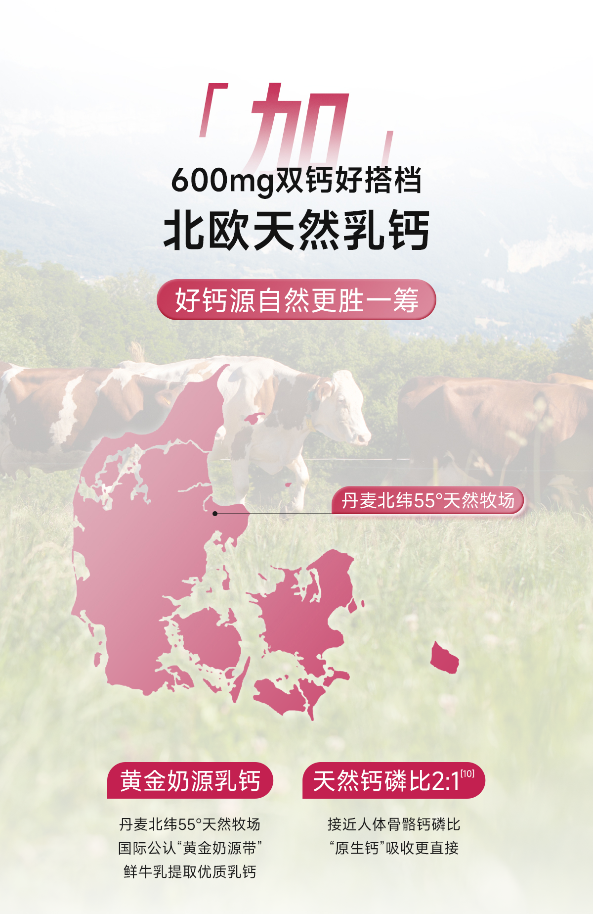 【Livraison directe de Hong Kong】 Cinq Docteurs Femmes Calcium Liquide 3 boîtes/30 sachets + 2 sachets offerts Convient aux femmes enceintes et allaitantes Double source de calcium haute absorption
