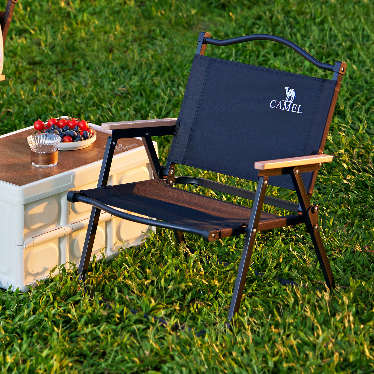 CAMEL Outdoor Folding Chairs & Stools