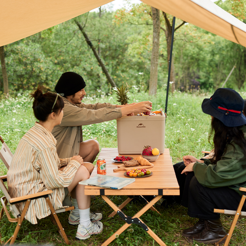 NATUREHIKE Nuo Ke Lingdu 24H Outdoor Insulated Boxes Indoor/outdoor 13L/24L