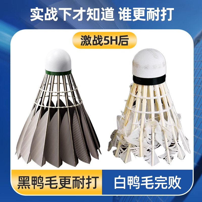 Li Ning x Kason 12 Pack Duck Feather All Round Duck Feather Outdoor Shuttlecocks