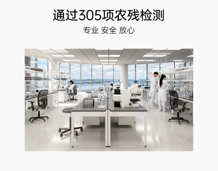 【Expédition directe de Hong Kong】 Poudre de chou frisé lyophilisée onlytree * 20 sachets + graines de chia * 10 sachets + poudre d'açaï * 10 sachets substitut de repas léger