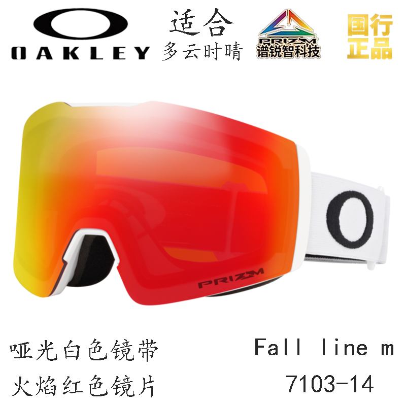 Горнолыжные очки Oakley (черный) — фото 152