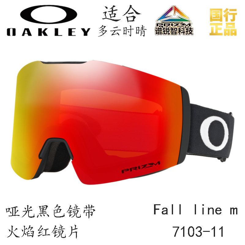 Горнолыжные очки Oakley (черный) — фото 120