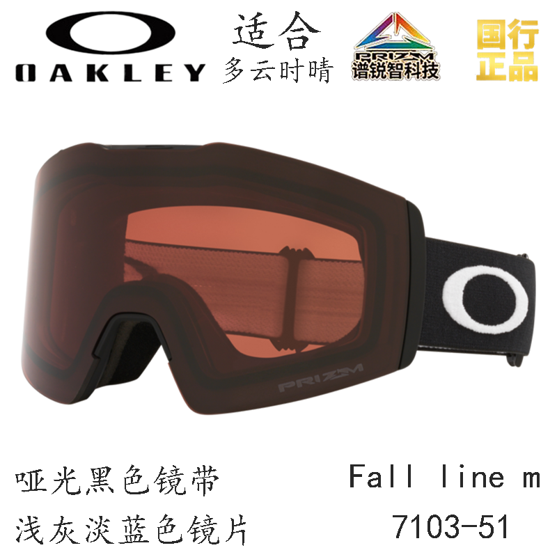 Горнолыжные очки Oakley (черный) — фото 77