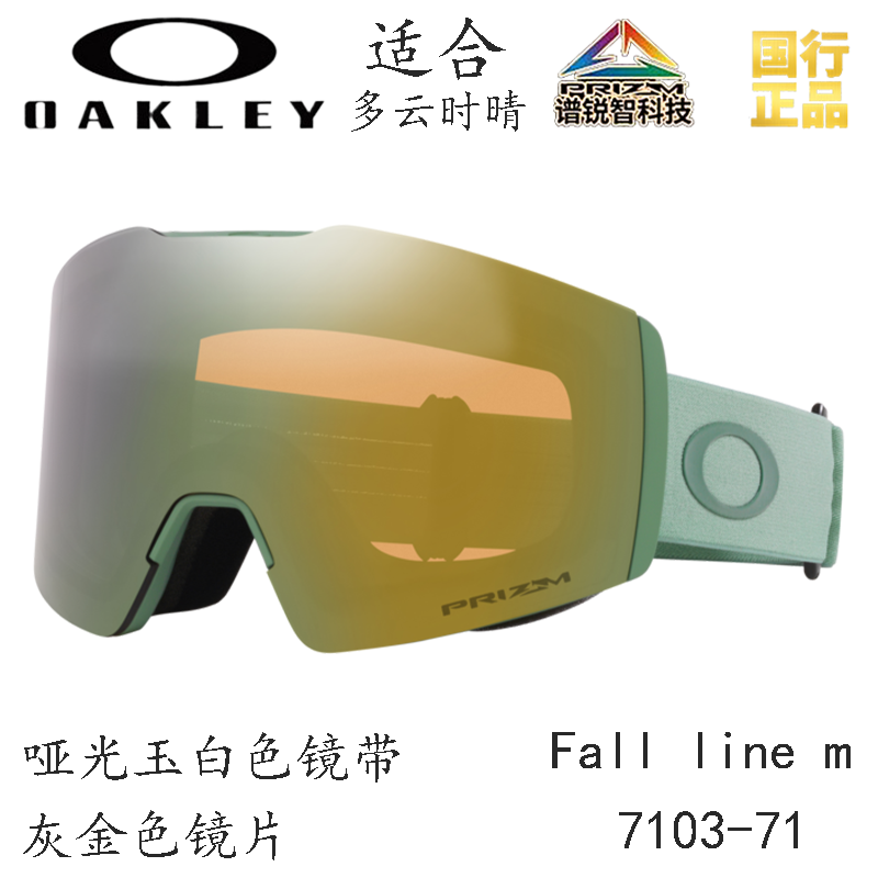 Горнолыжные очки Oakley (черный) — фото 42