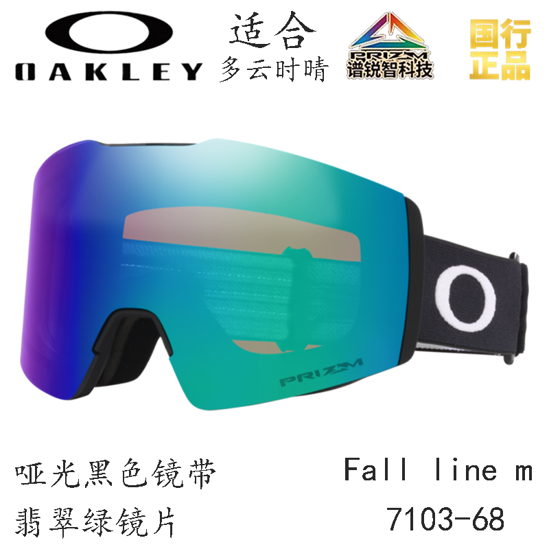 Горнолыжные очки Oakley (черный) — фото 47