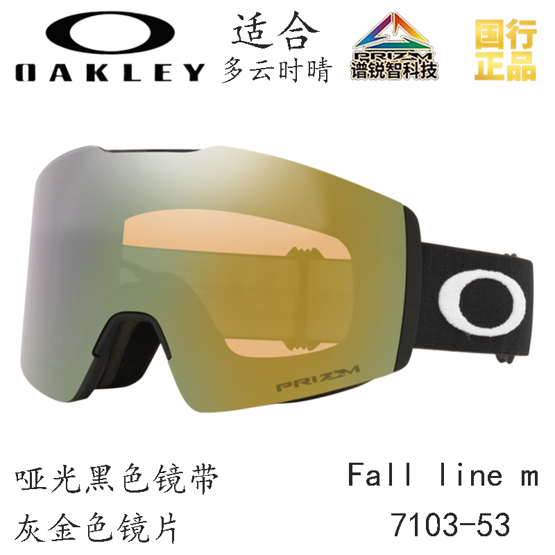Горнолыжные очки Oakley (черный) — фото 107