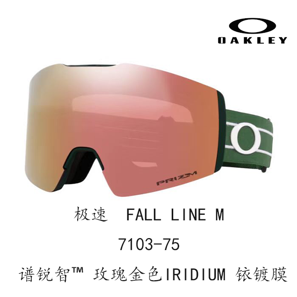 Горнолыжные очки Oakley (черный) — фото 150
