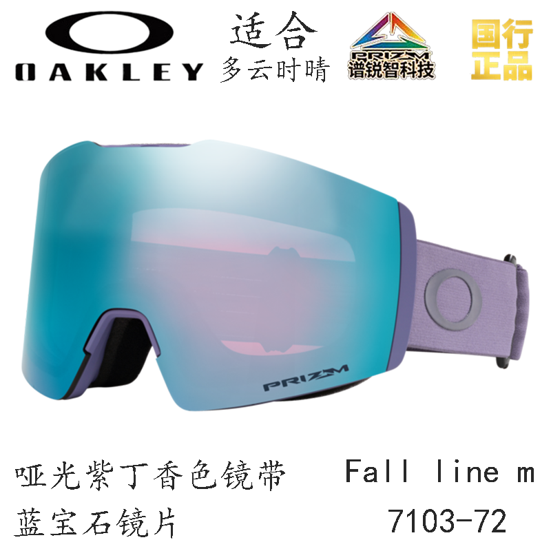 Горнолыжные очки Oakley (черный) — фото 67