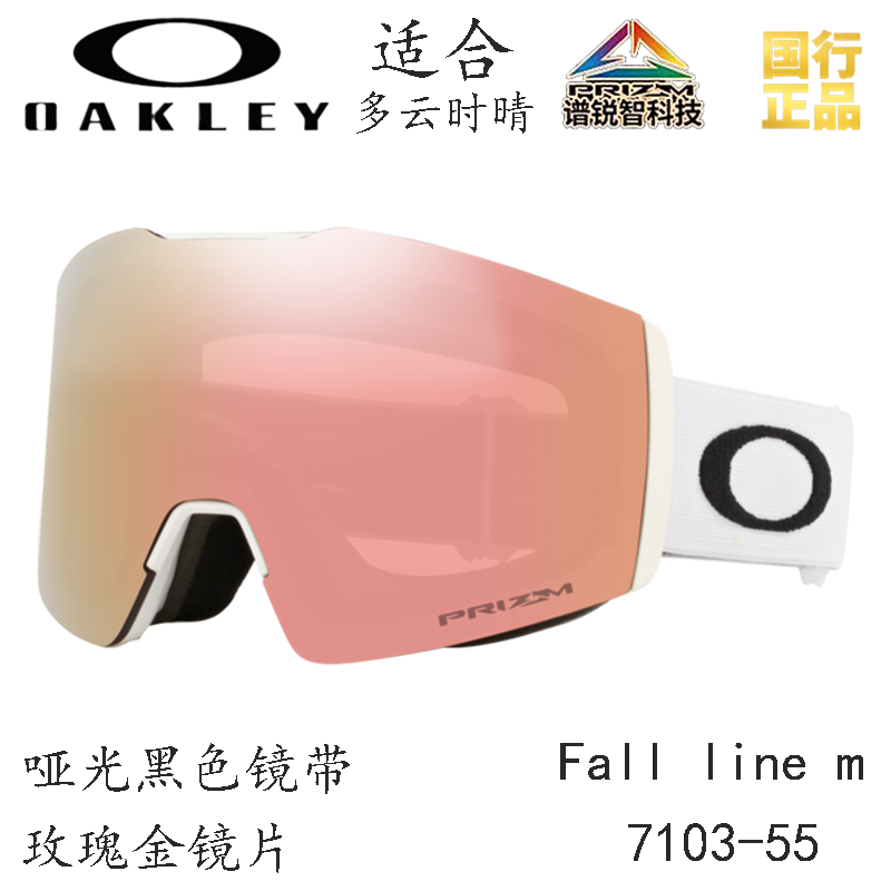 Горнолыжные очки Oakley (черный) — фото 97