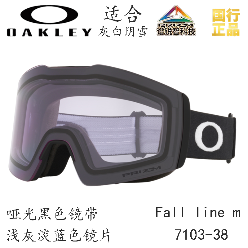 Горнолыжные очки Oakley (черный) — фото 92