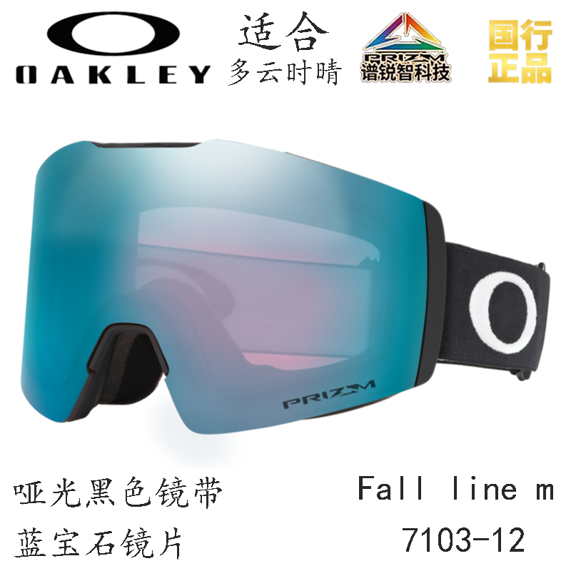Горнолыжные очки Oakley (черный) — фото 145