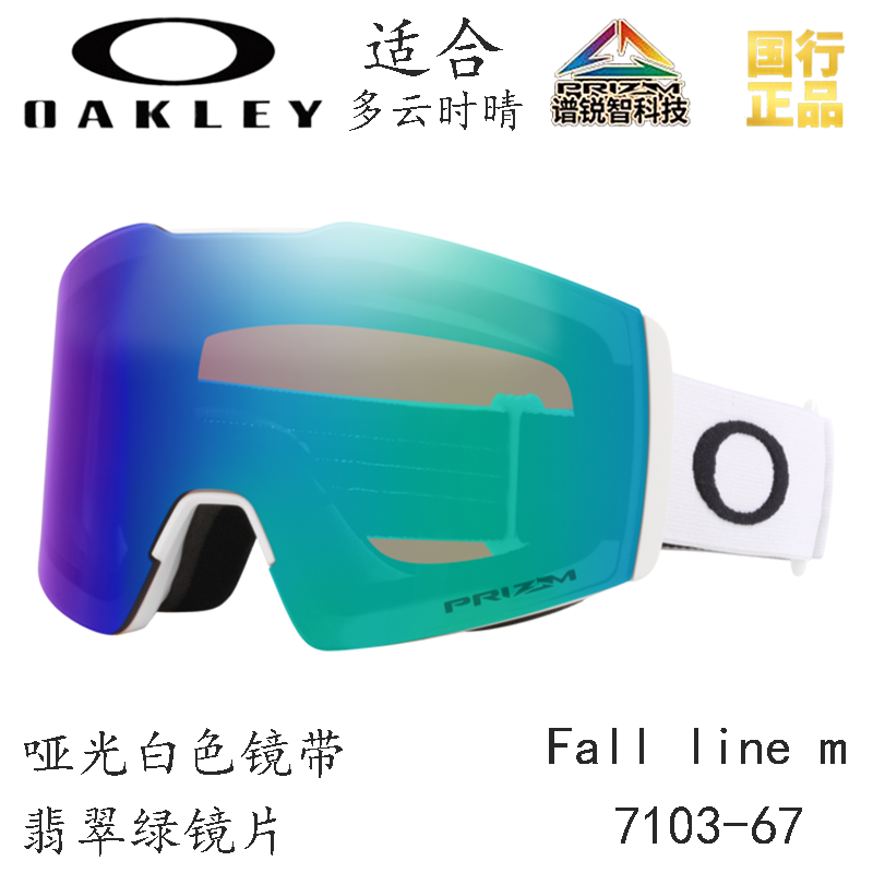 Горнолыжные очки Oakley (черный) — фото 102