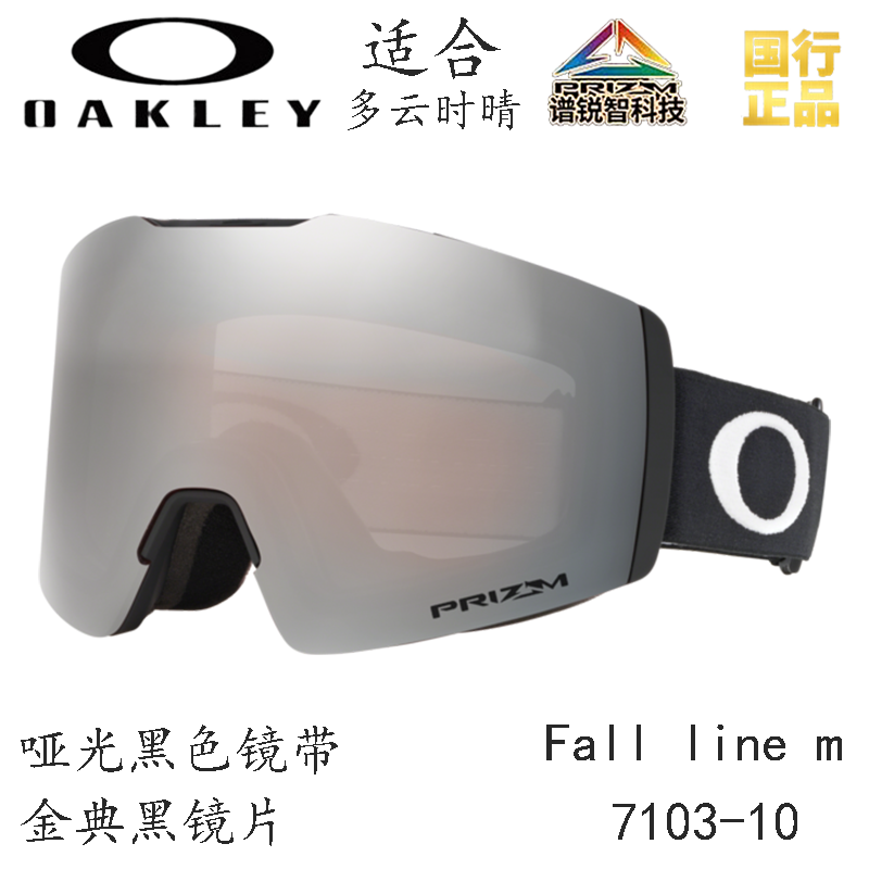 Горнолыжные очки Oakley (черный) — фото 159