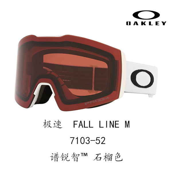 Горнолыжные очки Oakley (черный) — фото 25