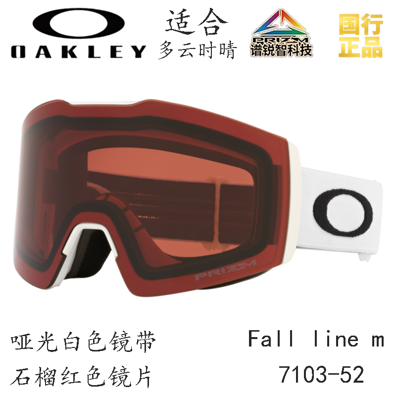 Горнолыжные очки Oakley (черный) — фото 82