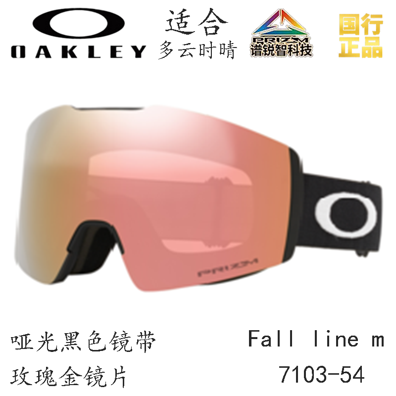 Горнолыжные очки Oakley (черный) — фото 113