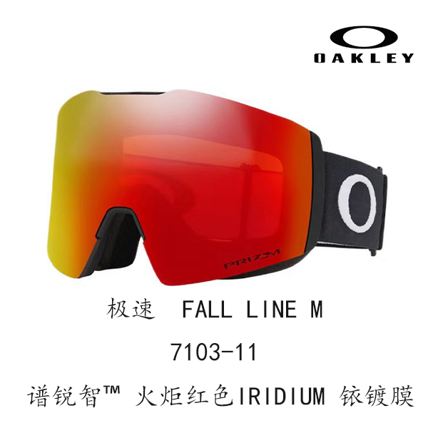 Горнолыжные очки Oakley (черный) — фото 10