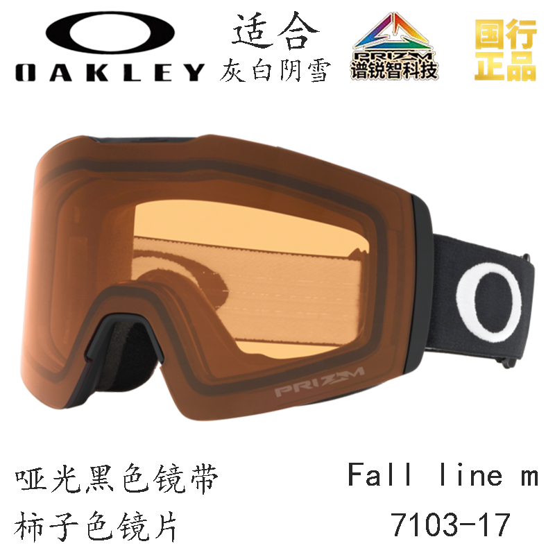 Горнолыжные очки Oakley (черный) — фото 131
