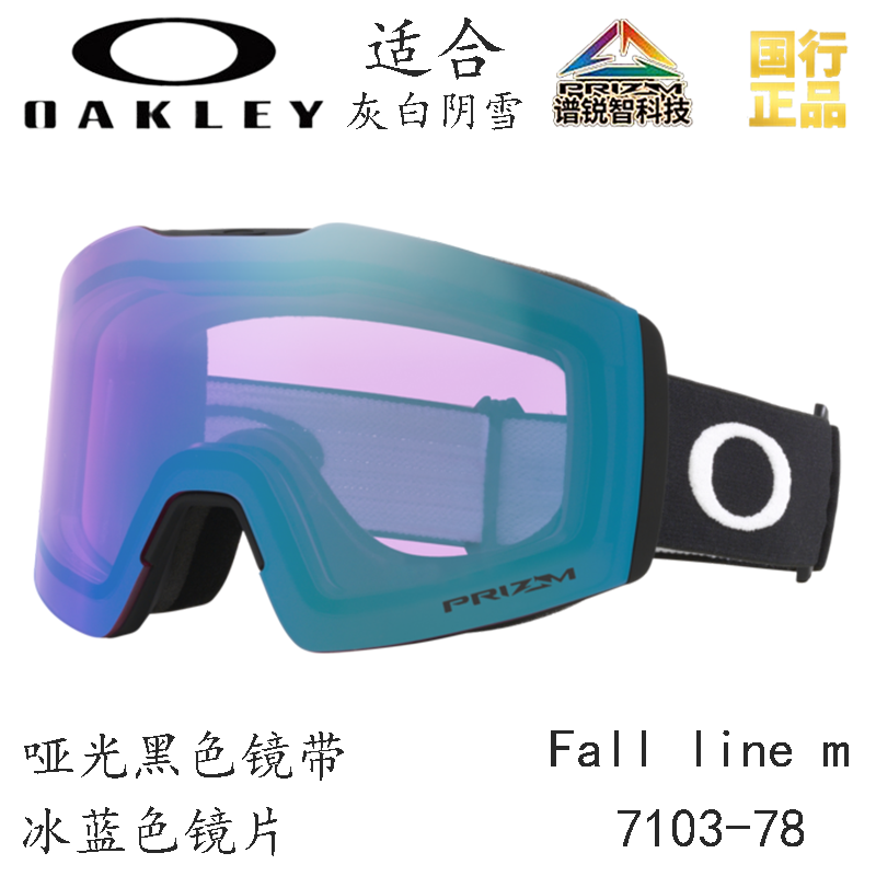 Горнолыжные очки Oakley (черный) — фото 12